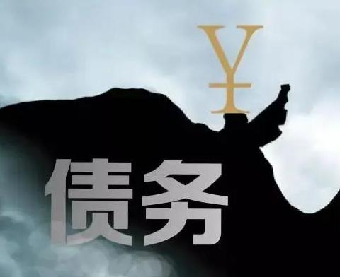 什么是债务优化，望奎债务优化有什么效果？