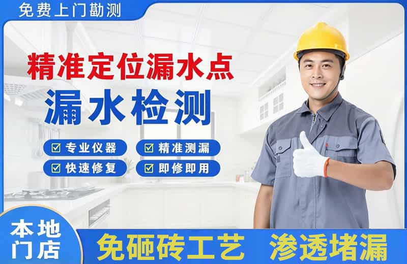 望奎精准测漏点
